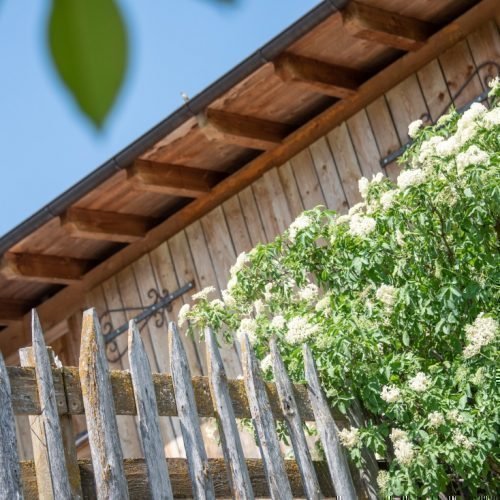 Impressionen vom Radauerhof | Urlaub auf dem Bauernhof in Kastelruth Südtirol