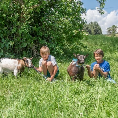 Radauer-Hof Kastelruth in Südtirol | Ein unvergesslicher Kinderurlaub auf dem Bauernhof!