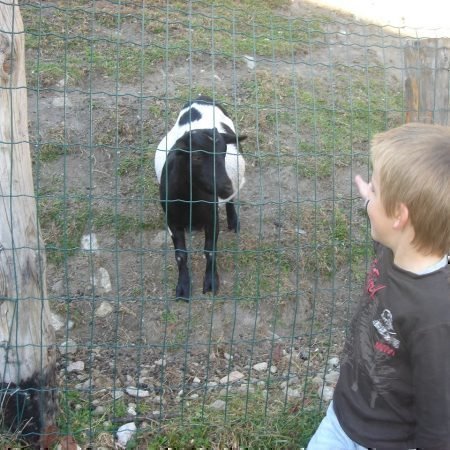 Radauer-Hof Kastelruth in Südtirol | Ein unvergesslicher Kinderurlaub auf dem Bauernhof!