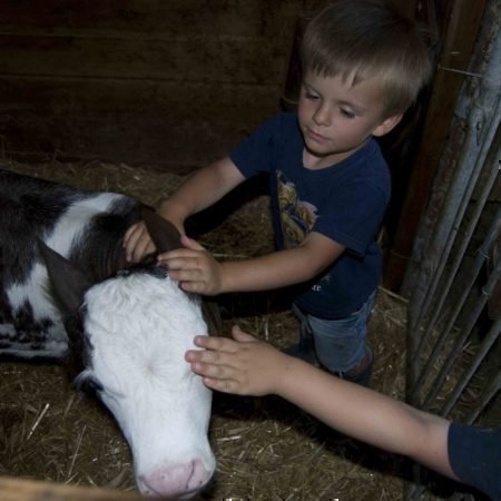 Radauer-Hof Kastelruth in Südtirol | Ein unvergesslicher Kinderurlaub auf dem Bauernhof!