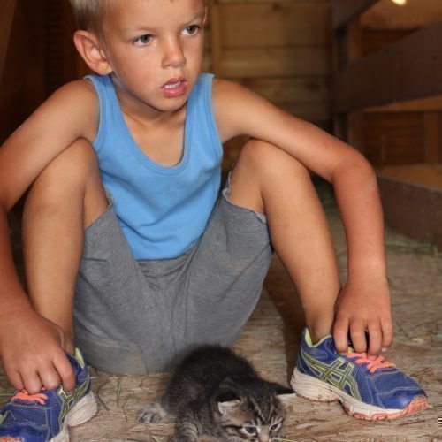 Radauer-Hof Kastelruth in Südtirol | Ein unvergesslicher Kinderurlaub auf dem Bauernhof!