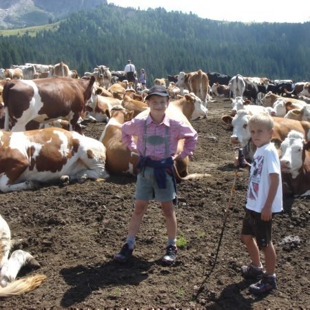 Radauer-Hof Kastelruth in Südtirol | Ein unvergesslicher Kinderurlaub auf dem Bauernhof!