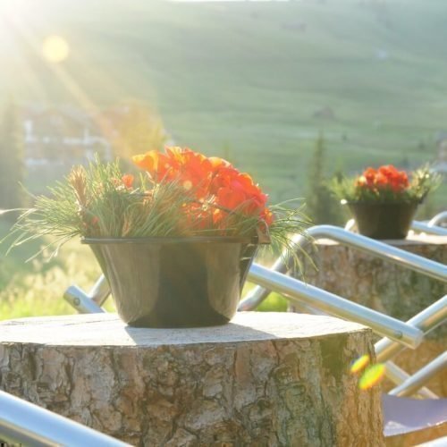 Alpine lodge on the Alpe di Siusi