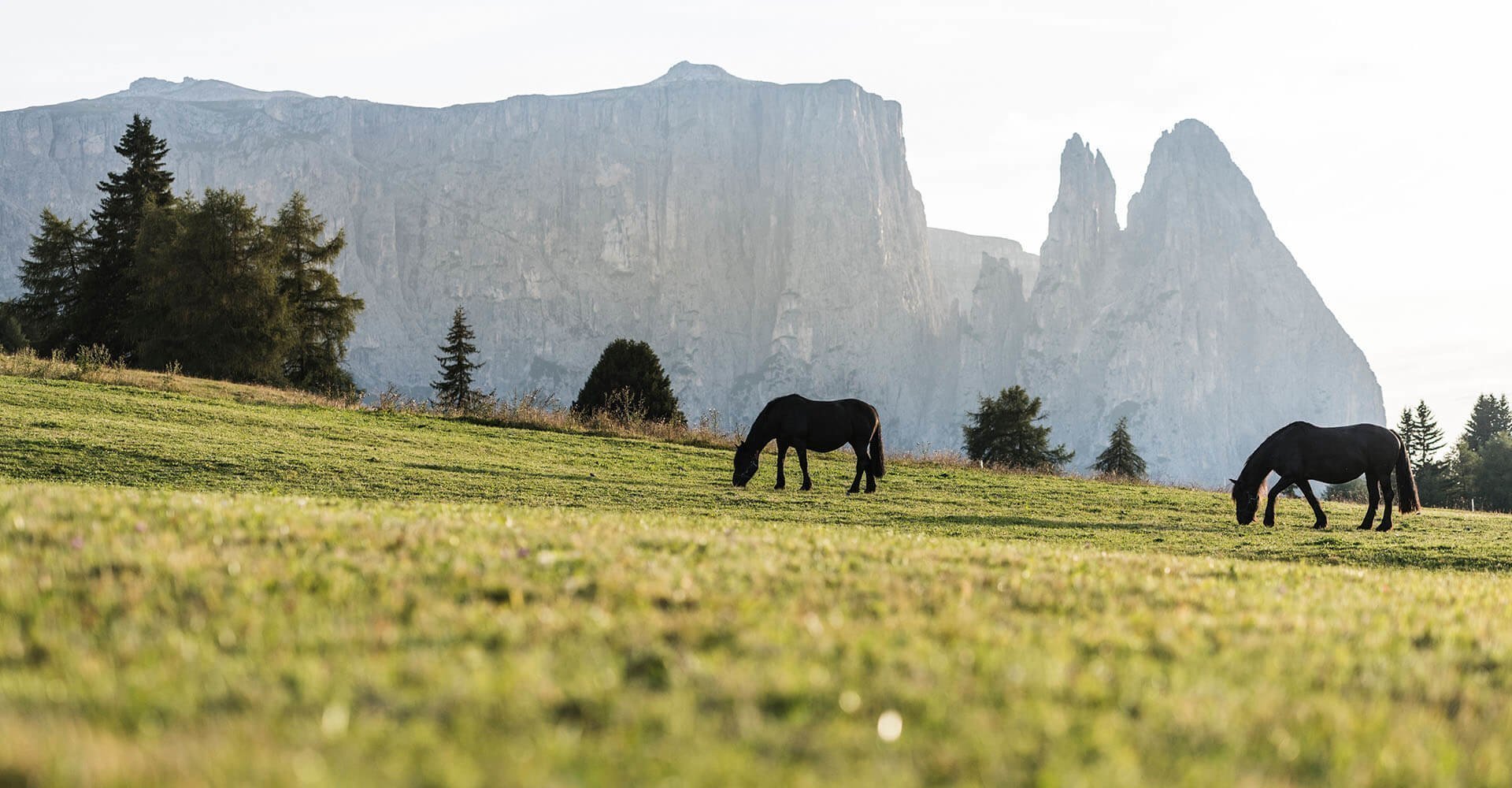 Radauerhof | Ferien in Kastelruth - Sommerurlaub in Südtirol