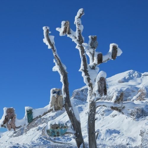 Radauerhof | Ferien in Kastelruth - Winterurlaub in Südtirol