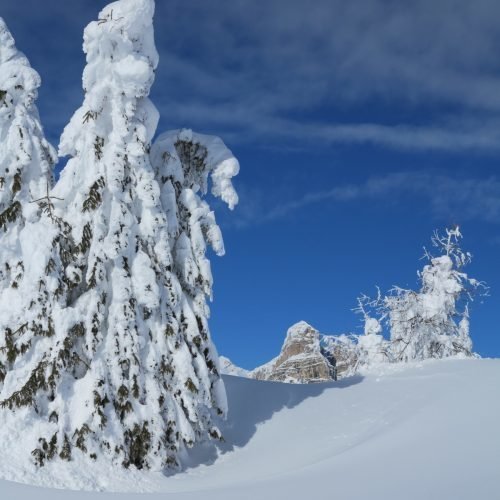 Radauerhof | Ferien in Kastelruth - Winterurlaub in Südtirol