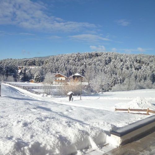 Impressionen vom Radauerhof | Urlaub auf dem Bauernhof in Kastelruth Südtirol