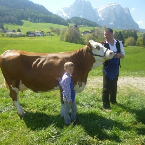 Impressionen vom Radauerhof | Urlaub auf dem Bauernhof in Kastelruth Südtirol