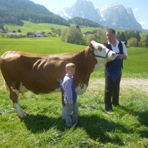 rauderhof-impressionen-urlaub-in-suedtirol-19