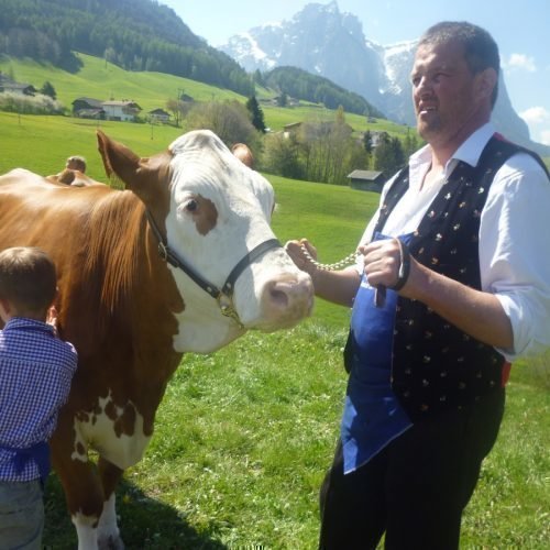 Impressionen vom Radauerhof | Urlaub auf dem Bauernhof in Kastelruth Südtirol